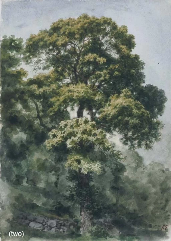 Galleria delle opere di Francesco Gonin